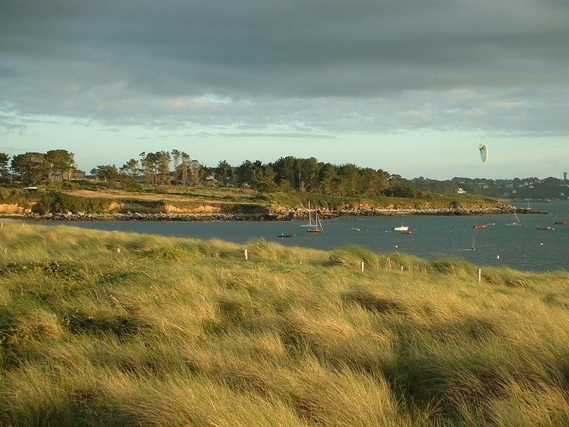 Rêve O Kite